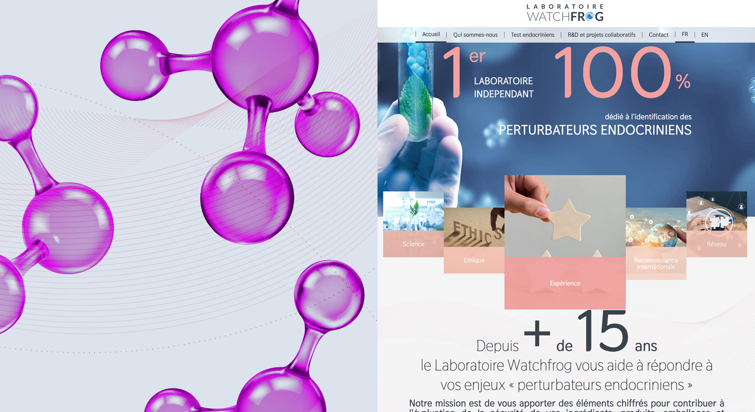 watchfrog_apercu_site